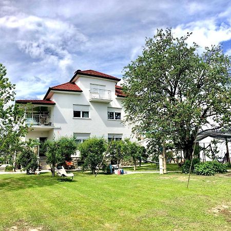 Apartments Andrej - Optuj Bagian luar foto