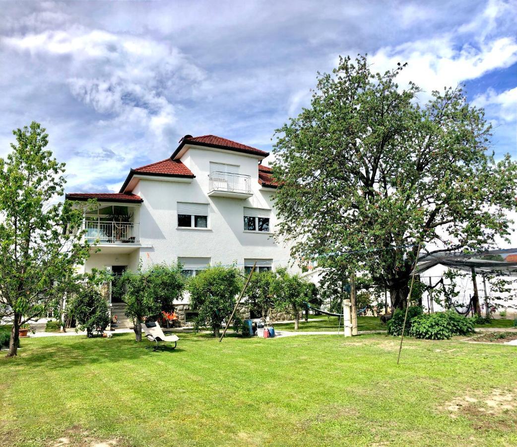 Apartments Andrej - Optuj Bagian luar foto